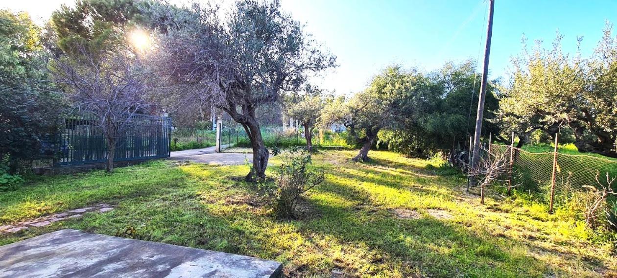 Vila Giardino San Nicola Trabia Exteriér fotografie
