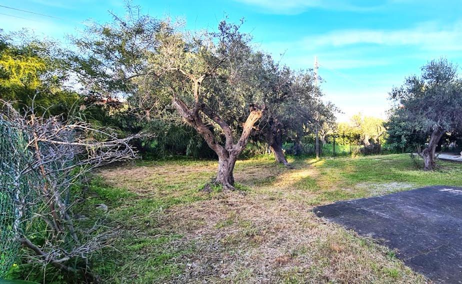 Vila Giardino San Nicola Trabia Exteriér fotografie