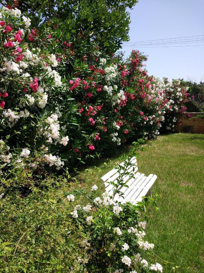 Vila Giardino San Nicola Trabia Exteriér fotografie